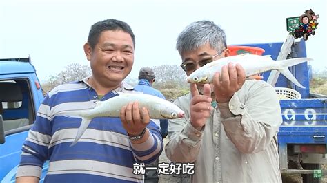 怎麼養魚